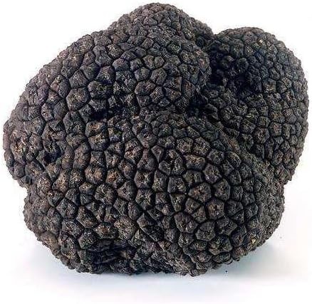 UNADULTERATED Dried Wild Black Truffle Powder, Tartufo/Tuber melanosporum, 1.1 LB.